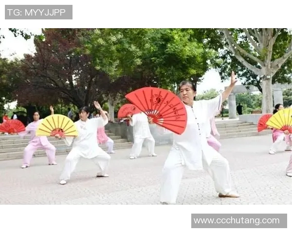 沉浸在24太极拳音乐的韵律中感受身心合一的和谐之美