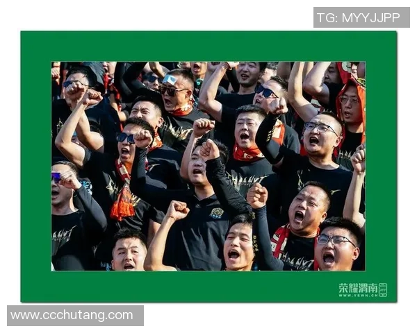 决赛现场：球迷狂欢呼声震耳欲聋