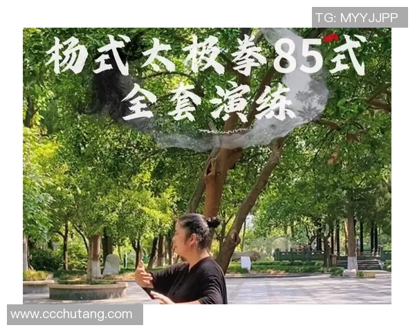 探索傅清泉85式太极拳的深厚内涵与独特魅力之旅